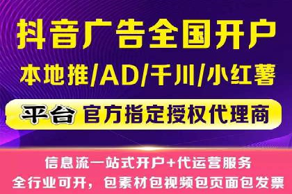 竞价托管与SEO结合的案例分析